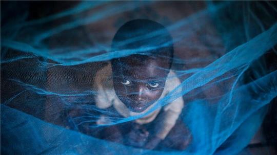 Ein Flüchtlingskind aus Burundi sitzt in Gashora, Ruanda, unter einem Moskitonetz: Der Malaria-Erreger wird durch Anopheles-Stechmücken übertragen.