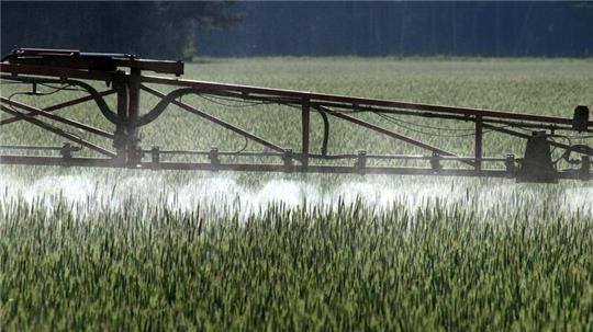 Ein Gesetz zur Reduktion von Pestiziden in der EU hat im EU-Parlament keine Mehrheit gefunden.
