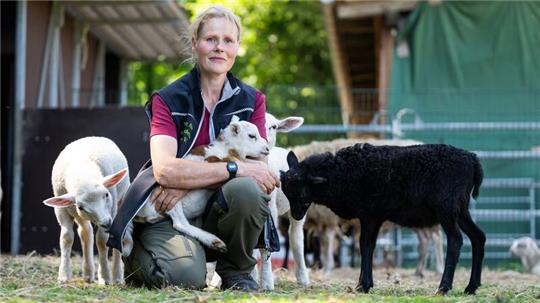 Ein Gnadenhof für Tiere bei Uelzen kommt an seine Grenzen.