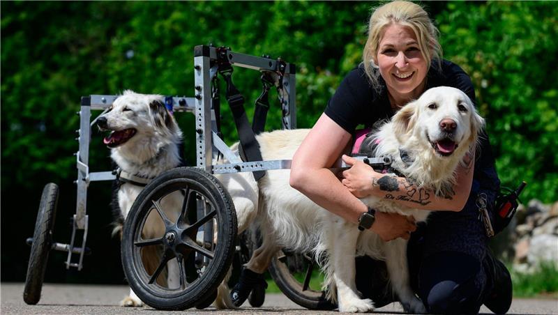 Ein Gnadenhof in der Lüneburger Heide nimmt behinderte und misshandelte Hunde auf. Wegen fehlender Spenden kämpft er um das Überleben.