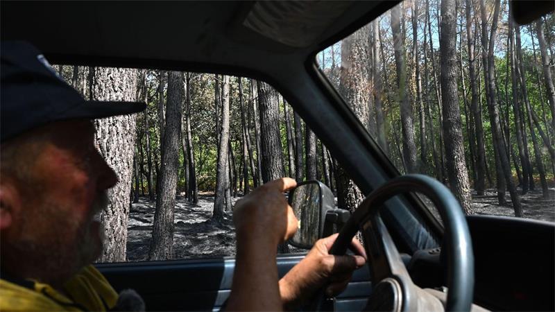 „Ist unser Erbe“: Wie ein Waldbauer gegen den Brand kämpft Ein Großteil seines Landes ist verbrannt, erzählt Waldbauer Monchaux.