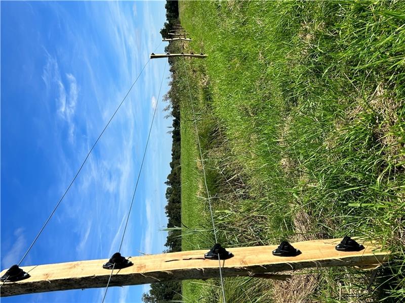 Ein Herdenschutzzaun im Bau. Die untere Litze wird knapp über dem Boden angebracht - den Draht frei von Bewuchs zu halten, ist eine Herausforderung.