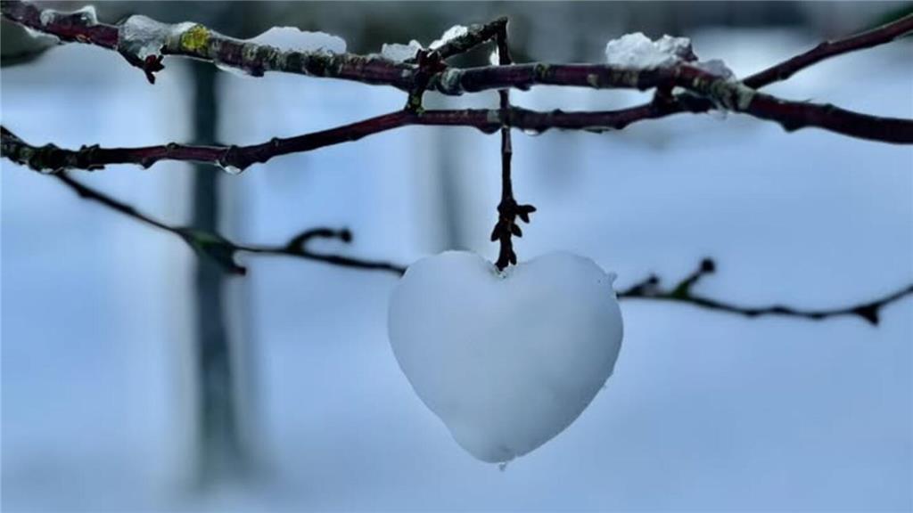 Ein Herz aus Schnee hängt an einem Ast. 
