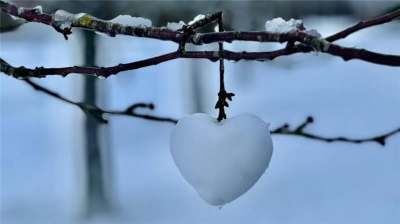 Ein Herz aus Schnee hängt an einem Ast.