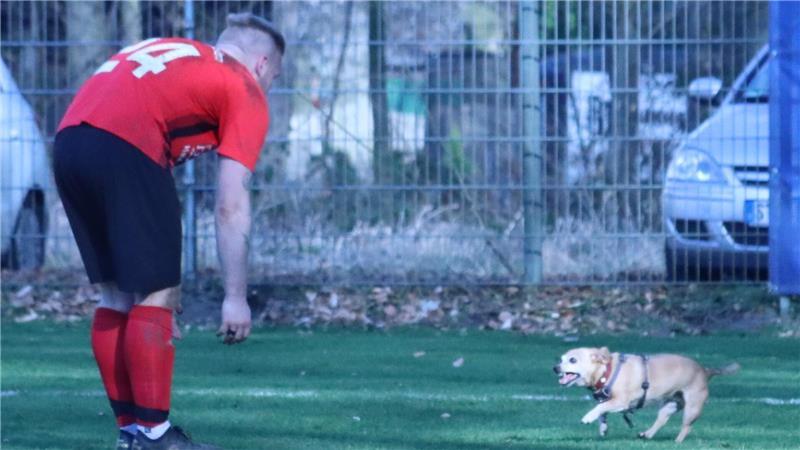 Ein Hund versuchte den angeschlagenen SV Agathenburg/Dollern zu unterstützen. Kapitän Tobias Helck kümmerte sich um ihn.