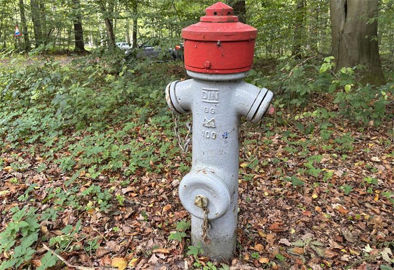 Ein Hydrant steht im Rüstjer Forst in der Nähe eines Waldparkplatzes. Flächendeckend ist der Wald damit jedoch nicht ausgestattet.