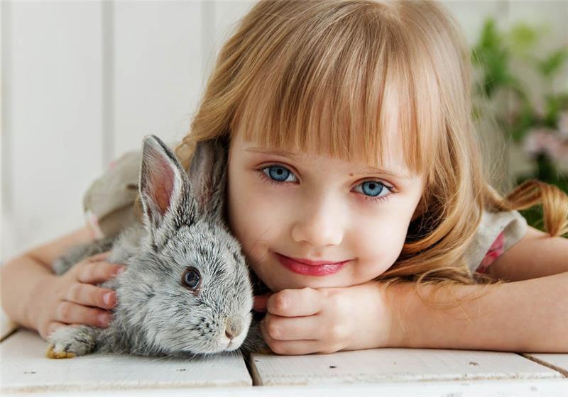 Ein Kaninchen als Geschenk für die Tochter zu Weihnachten will gut überlegt sein. Foto: pixabay.de