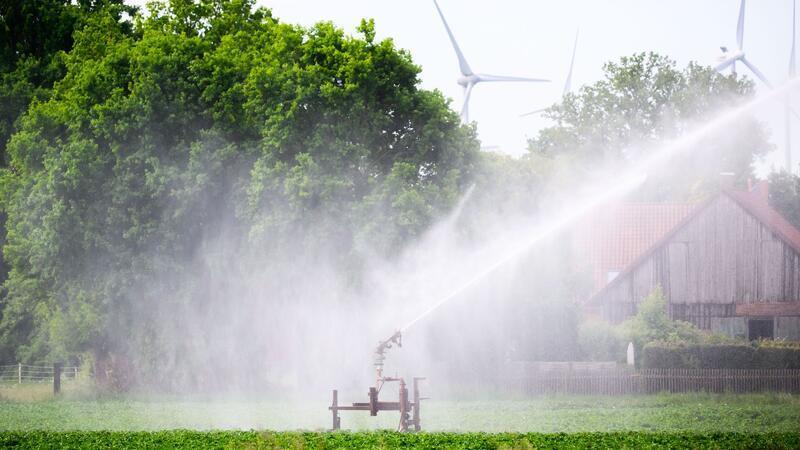 Ein Kartoffelfeld wird bewässert – doch die Grundwasserspiegel sinken. (Archivbild)