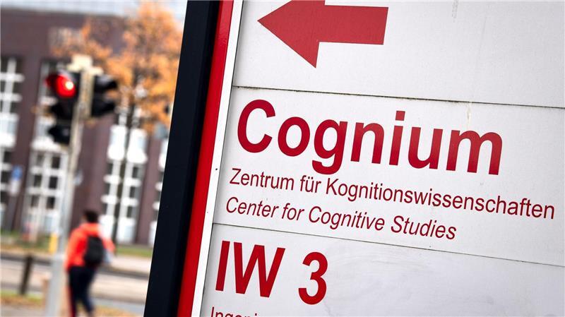 „Grausam und irrelevant“: Immer noch Experimente mit Affen in Niedersachsen Ein Kognitionsforscher der Universität Bremen darf seine Affenversuche vorläufig weiterführen. (Archivbild)
