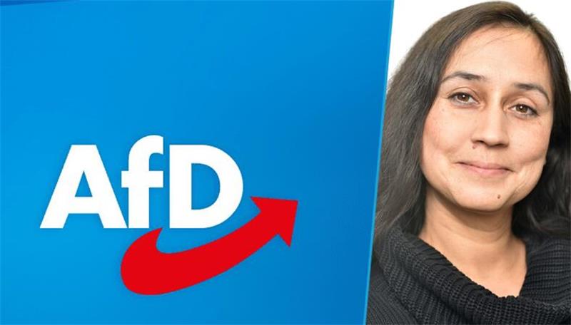 Rassistischer Populismus: Damit darf die AfD nicht durchkommen Ein Kommentar von Anping Richter.