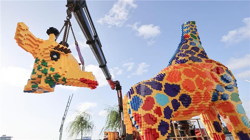 Ein Kran hebt den Kopf der Giraffe.