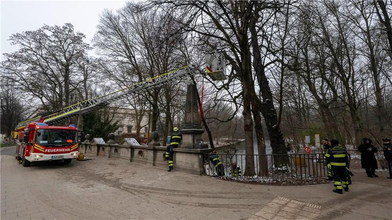 Ein Kran war im Einsatz. 