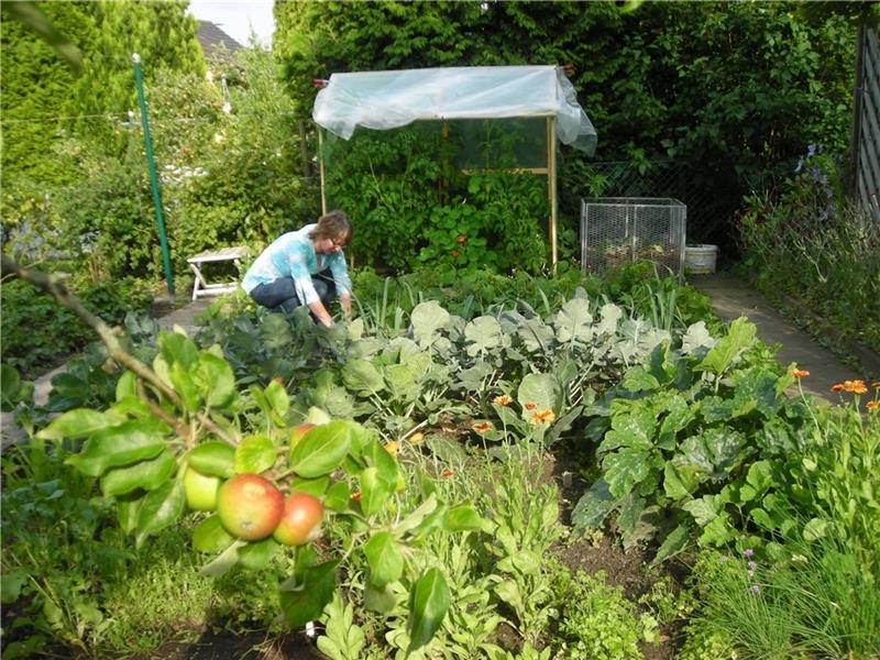 Volkshochschule Buxtehude feiert mit neuem Programm 75. Jubiläum Ein Kursus erklärt, wie bioveganes Gärtnern geht. Foto: Susanne Heine