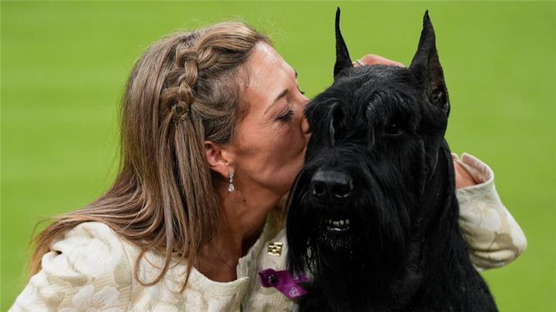 Ein Kuss für den Besten.