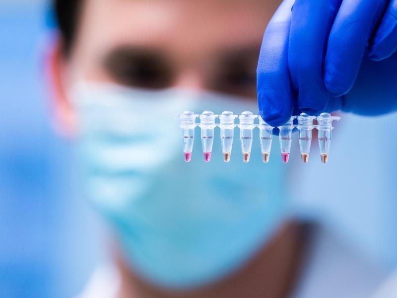 Ein Labor-Mitarbeiter untersucht bei einem Corona-Testverfahren Proben. Foto: Georg Hochmuth/APA/dpa/Symbolbild