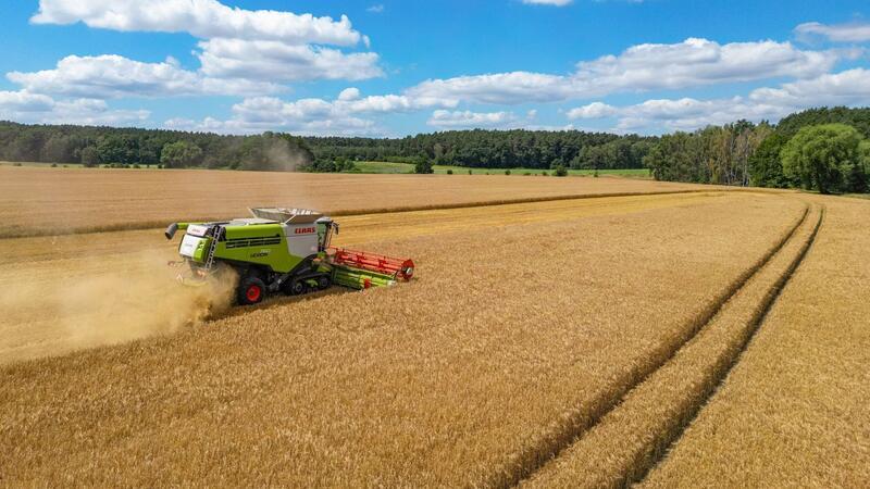 Ampel bringt Entlastungen für Bauern auf den Weg Ein Landwirt erntet mit seinem Mähdrescher Gerste auf einem Feld in Ostbrandenburg.
