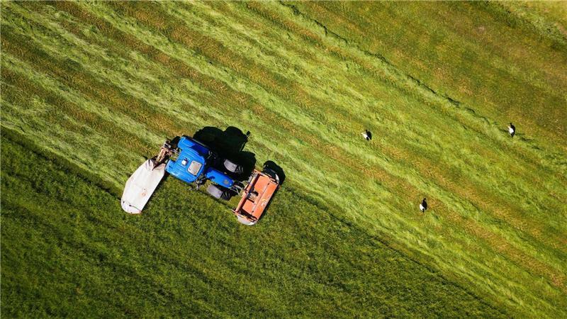 Ein Landwirt fährt mit seinem Traktor und einem angebauten Mähwerk über eine Wiese und mäht diese während daneben drei Störche zu sehen sind.