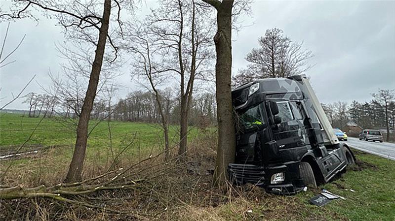 Lkw prallt bei Hemmoor gegen Baum – 250.000 Euro Schaden Ein Lastwagen ist in Hemmoor auf der B73 gegen einen Baum geprallt. Foto: Polizei