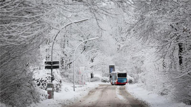 Ein Linienbus fährt durch eine verschneite Hamburger Straße. (Archivbild) 