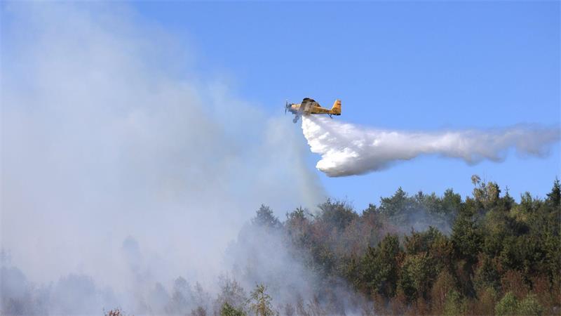 Waldbrand im Harz könnte Einsatzkräfte Tage beschäftigen Ein Löschflugzeug unterstützt die Einsatzkräfte bei den Löscharbeiten im Harz.