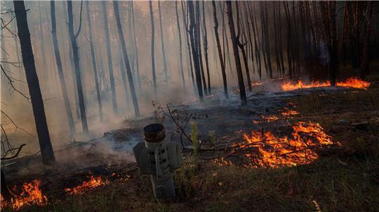 Ein MSLR-Raketenstab ist bei einem Waldbrand nach einem russischen Angriff in der Nähe von Slowjansk zu sehen.