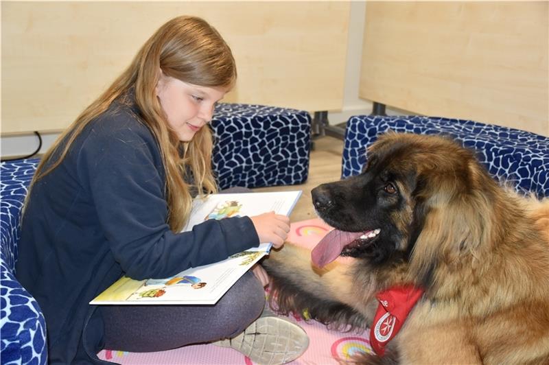 Bücherhunde suchen junge Vorleser Ein Mädchen liest einem Bücherhund aus ihrem Lieblingsbuch vor.