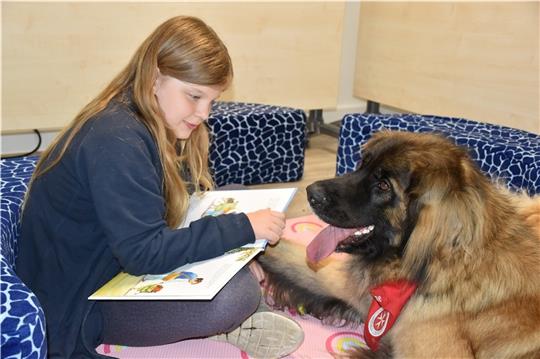 Ein Mädchen liest einem Bücherhund aus ihrem Lieblingsbuch vor.