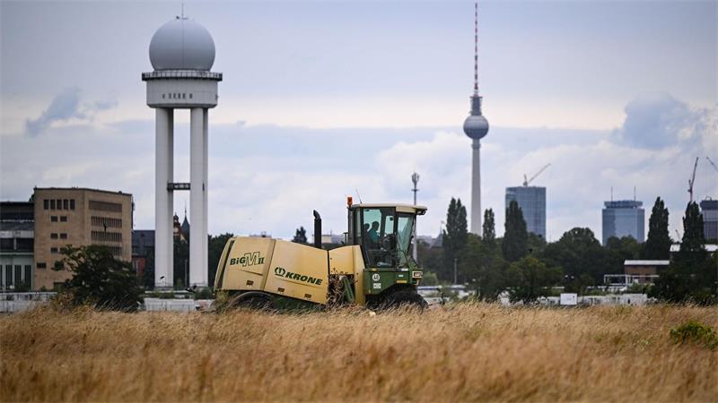 Ein Mähdrescher fährt auf der Tempelhofer Freiheit. Auf dem Tempelhofer Feld hat die jährliche Großmahd des rund 135 Hektar großen inneren Wiesenrings begonnen. Der Schnitt erfolgt in Abstimmung mit dem Naturschutz erst im Spätsommer, sobald die Jungvögel der geschützten Feldlerche flügge sind.