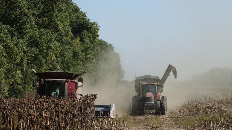 Ukrainische Bauern bleiben auf der Ernte sitzen Ein Mähdrescher und ein Traktor der deutschen Agrarfirma UIFK Agro in der Ukraine bei der Sonnenblumenernte.