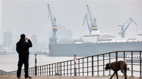 Ein Mann geht bei trüben Wetter mit seinem Hund am Holzhafen gassi und telefoniert dabei.