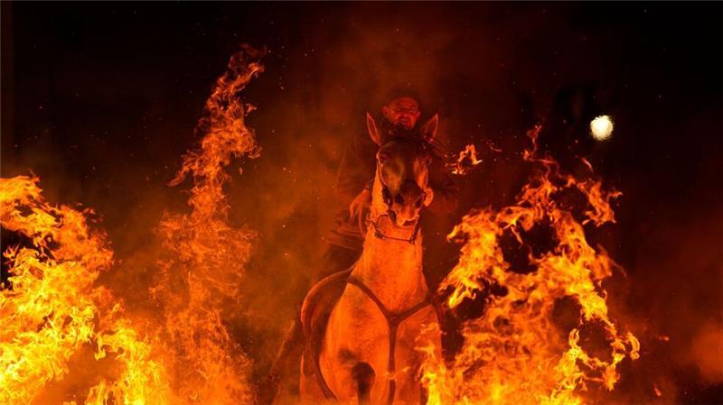 Ein Mann reitet ein Pferd durch ein Lagerfeuer als Teil eines Rituals zu Ehren des Heiligen Antonius des Abtes in San Bartolome de Pinares.