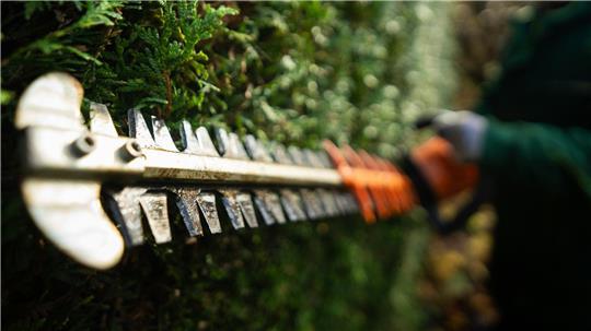Ein Mann schneidet eine Hecke mit einer Motorsäge. Worauf man bei Anbietern von Gartenarbeiten achten muss, verrät die Polizei Stade.