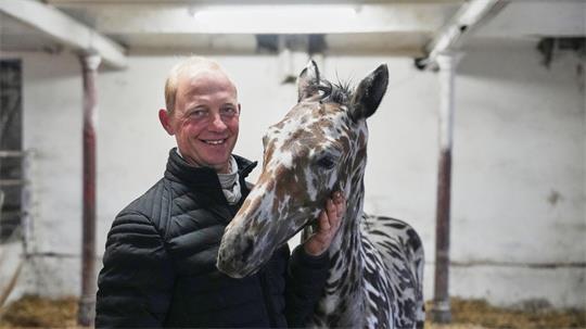 Ein Mann und sein Zebra? Nein: Es ist ein Pferd. 