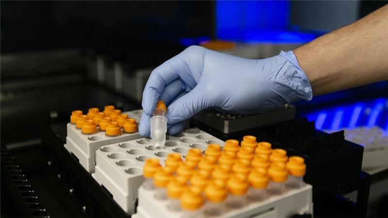 Mörder an tauber Rentnerin gesucht: Was Cold Case Unit probiert Ein Mitarbeiter beim Landeskriminalamt in Kiel hält ein DNA-Probengefäß vor einem Pipettierroboter in der Hand.