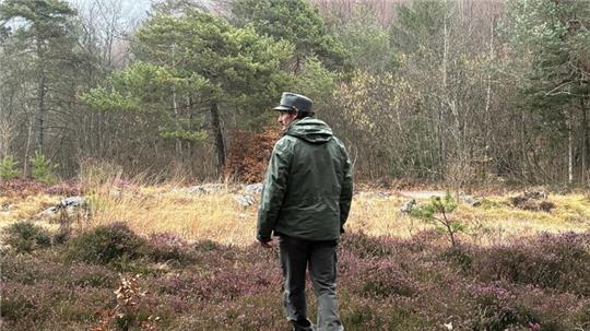 Ein Mitarbeiter des Forstkorps im Trentino untersucht ein Waldstück. Im Trentino leben durch ein erfolgreiches Wiederansiedlungsprojekt wieder Braunbären.