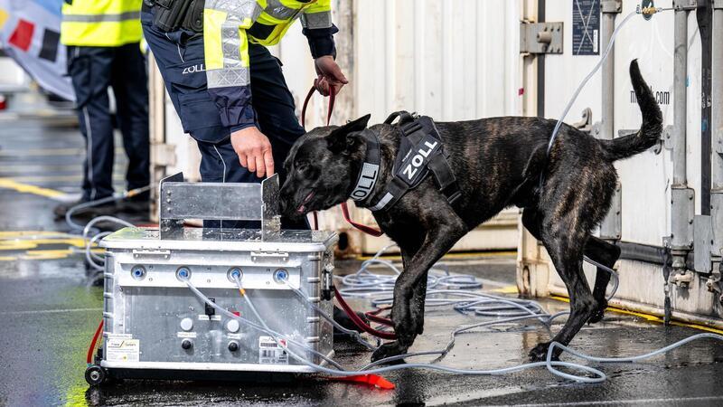 Ein Mitarbeiter des Hauptzollamts Bremen bei einer Containerkontrolle.
