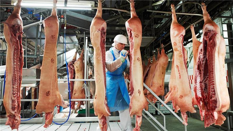 „Moderne Sklaverei“ im Schlachthof: Was tun gegen die Ausbeutung? Ein Mitarbeiter in einem riesigen Schlachthof in Rheda-Wiedenbrück.