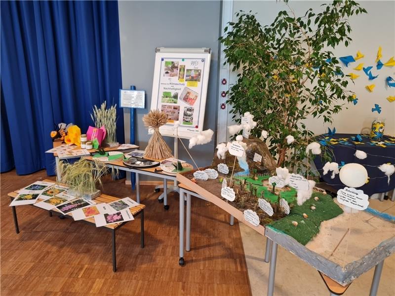 Ein Modell des Wasserhaushalts sowie Honig aus eigenem Anbau und weitere landwirtschaftliche Produkte präsentiert die BBS III in Stade.