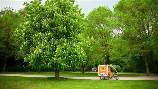 Ein Müllentsorgungsfahrzeug der Hamburger Stadtreinigung steht im Hamburger Stadtpark auf einer Wiese.