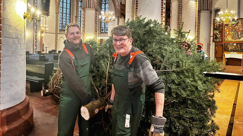 Ein Paradiesbaum für St. Petri: Pastor Chris Hasemann (links) und Superintendent Martin Krarup legen Hand an, hinten tragen Anja Hinrichs und Ronny Lühmann die frisch geschlagene Fünf-Meter-Tanne.