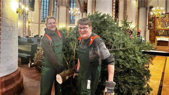 Ein Paradiesbaum für St. Petri: Pastor Chris Hasemann (links) und Superintendent Martin Krarup legen Hand an, hinten tragen Anja Hinrichs und Ronny Lühmann die frisch geschlagene Fünf-Meter-Tanne.