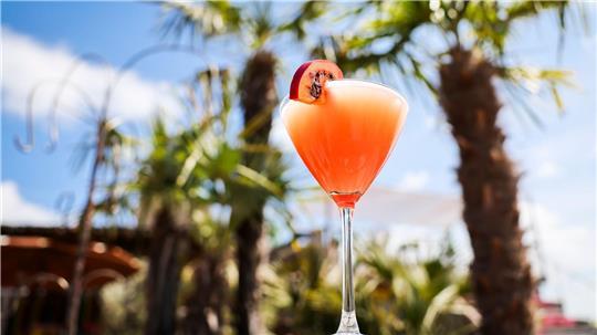 Ein Passionsfrucht Martini (auch Pornstar Martini oder Maverick Martini genannt) steht unter Palmen auf einem Tisch in einer Strandbar.