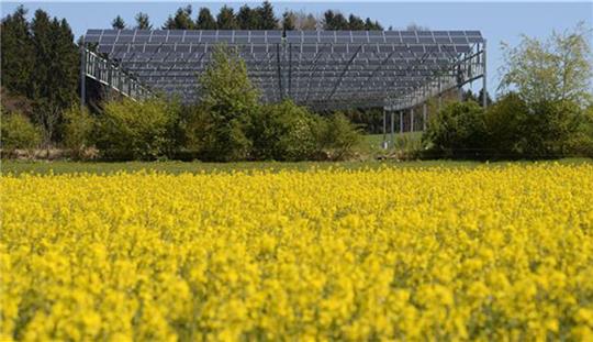 Ein Pilotprojekt in Baden-Württemberg erprobt, was möglich ist. Die Photovoltaikmodule sind in fünf Meter Höhe installiert. Auf dem Feld darunter wird Getreide und Gemüse angebaut. Foto: dpa