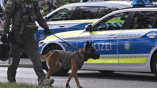Ein Polizeihund hat einen Stader gebissen, nachdem ein Streit eskaliert war. (Symbolbild)