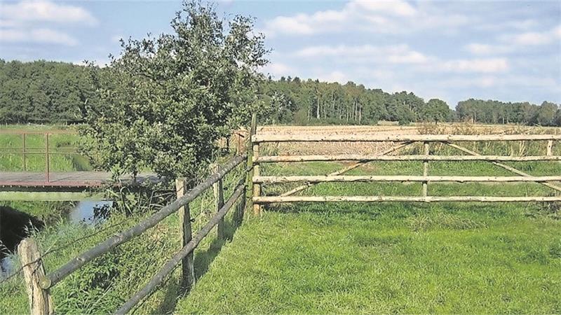 Ein Querzaun an einem Gewässer. Die Öffnung ist durch eine sogenannte Weidehecke möglich.