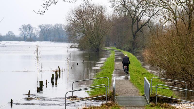 Ein halbes Jahr nach der Flut – „Mit einem blauen Auge davongekommen“ Ein Radfahrer fährt über den Deich an der Wümme im Bremer Ortsteil Borgfeld. Die Deiche sollen nun überprüft werden.