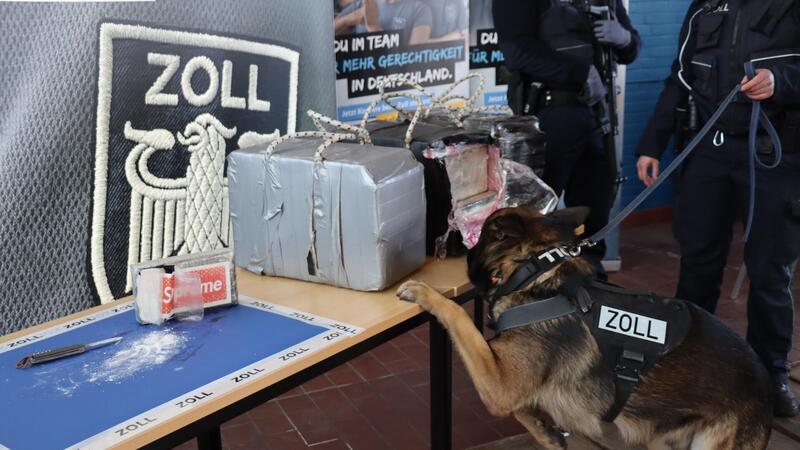 Ein Rauschgiftspürhund des Hauptzollamts Bremen im Einsatz.