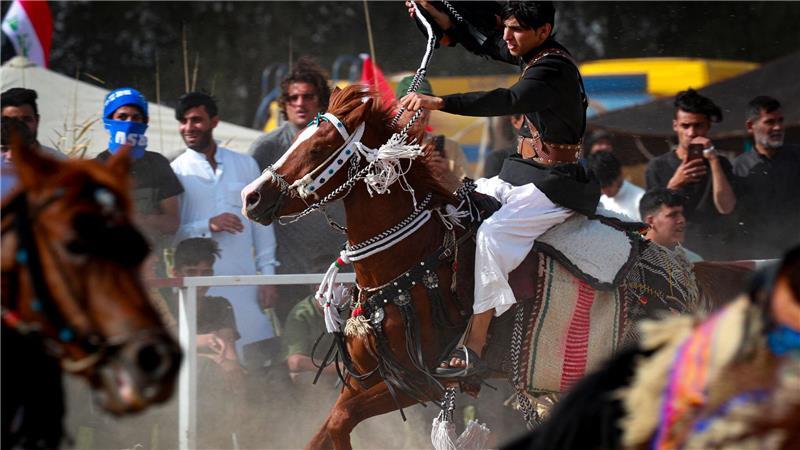 Ein Reiter tritt mit seinem prächtig geschmückten Pferd beim Arabischen Pferdefestival in Basra im Irak auf.