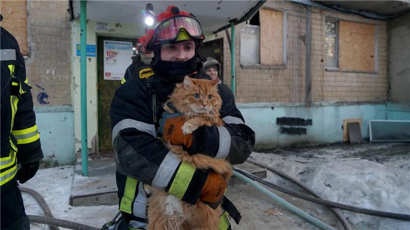 Ein Retter evakuiert eine Katze, nachdem eine russische Drohne bei einem Luftangriff ein Wohnhaus getroffen hat.