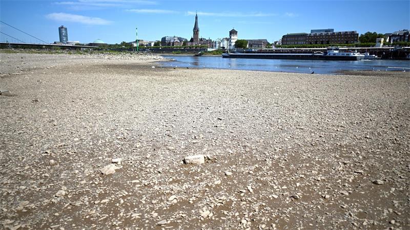Wie das Niedrigwasser der Wirtschaft zusetzt Ein Schiff fährt in Düsseldorf bei niedrigem Wasserstand auf dem Rhein. (Archivbild)